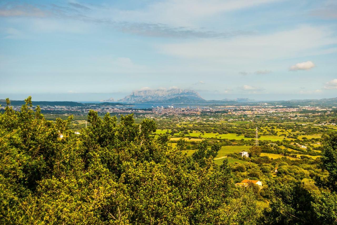 Villa Aurora Olbia Zewnętrze zdjęcie