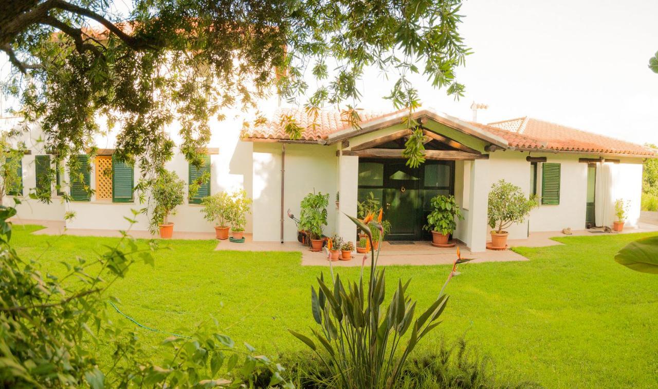 Villa Aurora Olbia Zewnętrze zdjęcie