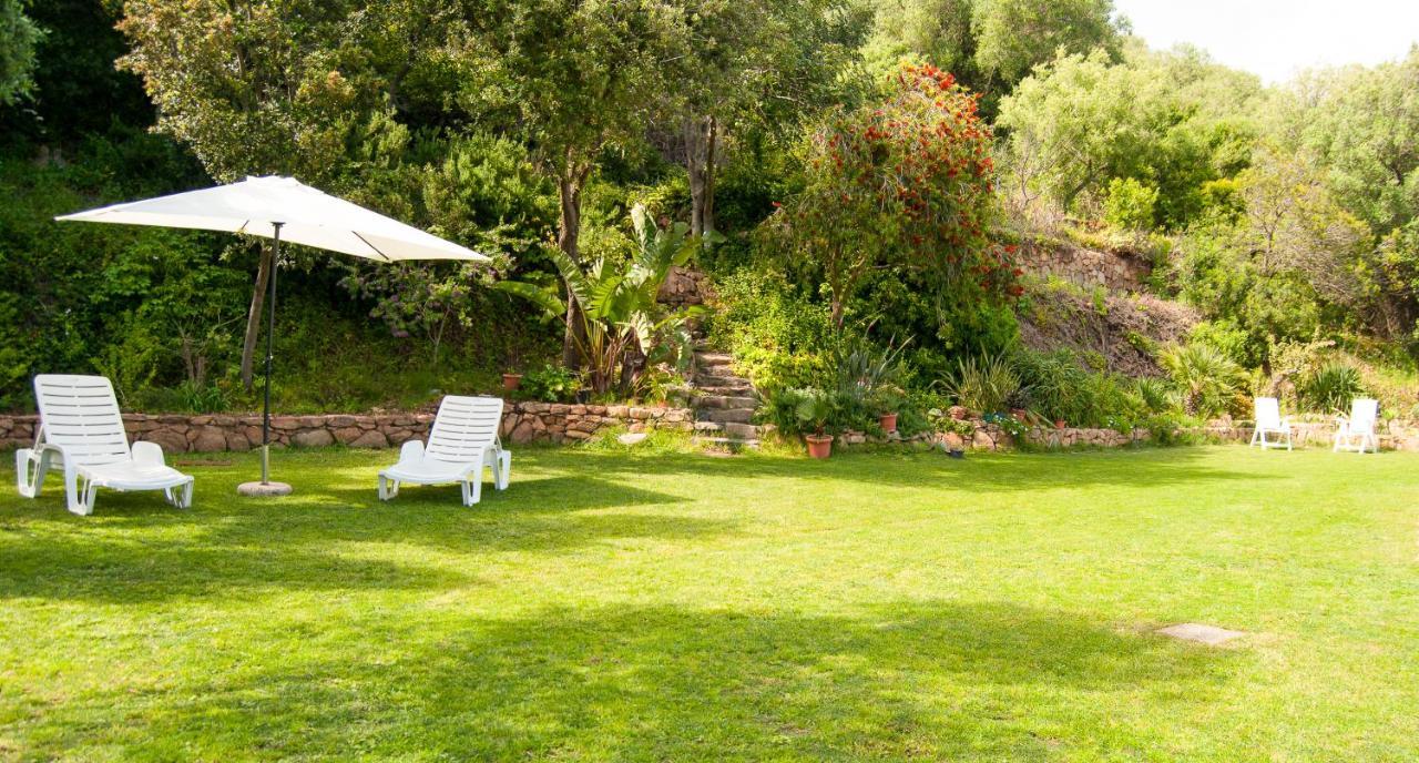 Villa Aurora Olbia Zewnętrze zdjęcie